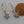 Star Sister Earrings