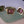 Jewel Box Ring