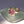 Jewel Box Ring
